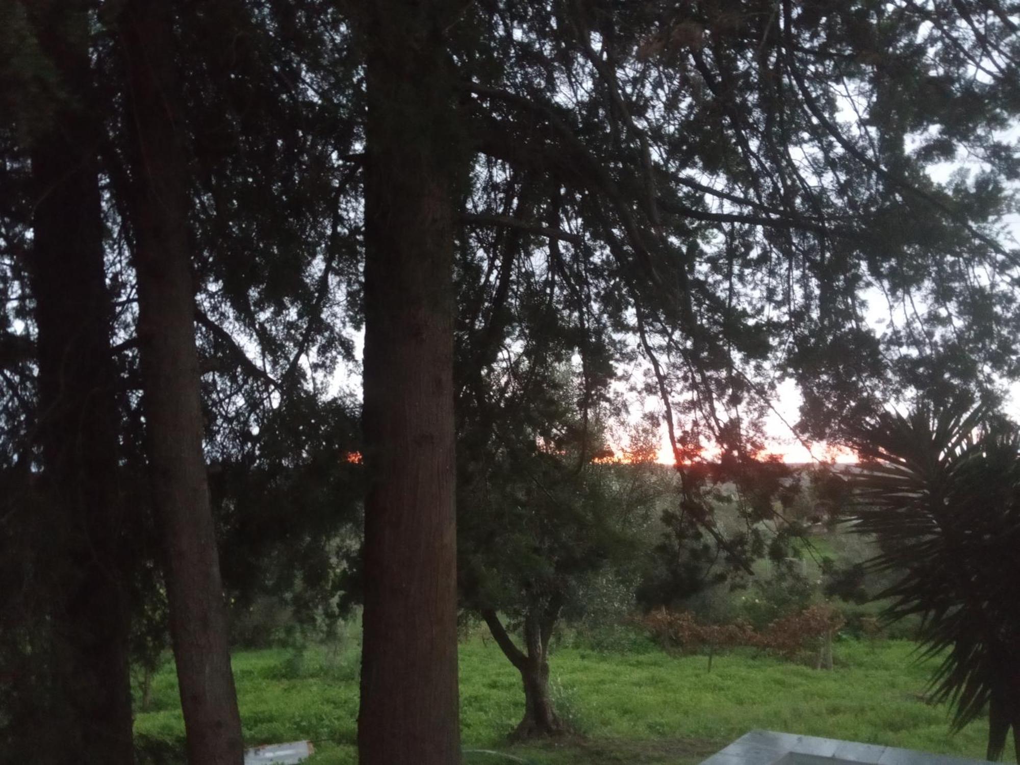 아비스 Monte Da Samarra 빌라 외부 사진